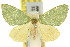  ( - 11ANIC-05622)  @11 [ ] CreativeCommons - Attribution (2011) ANIC/CBG Photography Group Centre for Biodiversity Genomics