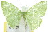  (Comostola citrolimbaria - 11ANIC-05632)  @14 [ ] CreativeCommons - Attribution (2011) ANIC/CBG Photography Group Centre for Biodiversity Genomics