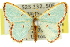  ( - 11ANIC-05644)  @11 [ ] CreativeCommons - Attribution (2011) ANIC/CBG Photography Group Centre for Biodiversity Genomics