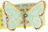  ( - 11ANIC-05645)  @11 [ ] CreativeCommons - Attribution (2011) ANIC/CBG Photography Group Centre for Biodiversity Genomics
