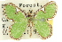  ( - 11ANIC-05669)  @11 [ ] CreativeCommons - Attribution (2011) ANIC/CBG Photography Group Centre for Biodiversity Genomics