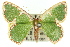  ( - 11ANIC-05670)  @11 [ ] CreativeCommons - Attribution (2011) ANIC/CBG Photography Group Centre for Biodiversity Genomics