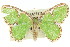  ( - 11ANIC-05671)  @11 [ ] CreativeCommons - Attribution (2011) ANIC/CBG Photography Group Centre for Biodiversity Genomics