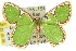  ( - 11ANIC-05675)  @14 [ ] CreativeCommons - Attribution (2011) ANIC/CBG Photography Group Centre for Biodiversity Genomics
