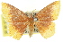  ( - 11ANIC-05695)  @11 [ ] CreativeCommons - Attribution (2011) ANIC/CBG Photography Group Centre for Biodiversity Genomics