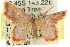  ( - 11ANIC-05697)  @11 [ ] CreativeCommons - Attribution (2011) ANIC/CBG Photography Group Centre for Biodiversity Genomics