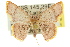  ( - 11ANIC-05699)  @13 [ ] CreativeCommons - Attribution (2011) ANIC/CBG Photography Group Centre for Biodiversity Genomics