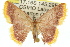  ( - 11ANIC-05714)  @13 [ ] CreativeCommons - Attribution (2011) ANIC/CBG Photography Group Centre for Biodiversity Genomics
