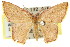  ( - 11ANIC-05717)  @11 [ ] CreativeCommons - Attribution (2011) ANIC/CBG Photography Group Centre for Biodiversity Genomics