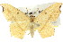  ( - 11ANIC-05729)  @14 [ ] CreativeCommons - Attribution (2011) ANIC/CBG Photography Group Centre for Biodiversity Genomics