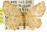  (Ptochophyle - 11ANIC-05739)  @15 [ ] CreativeCommons - Attribution (2011) ANIC/CBG Photography Group Centre for Biodiversity Genomics