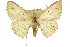  ( - 11ANIC-05760)  @11 [ ] CreativeCommons - Attribution (2011) ANIC/CBG Photography Group Centre for Biodiversity Genomics