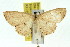  ( - 11ANIC-05767)  @11 [ ] CreativeCommons - Attribution (2011) ANIC/CBG Photography Group Centre for Biodiversity Genomics