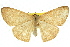  ( - 11ANIC-05777)  @11 [ ] CreativeCommons - Attribution (2011) ANIC/CBG Photography Group Centre for Biodiversity Genomics