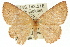  ( - 11ANIC-05782)  @14 [ ] CreativeCommons - Attribution (2011) ANIC/CBG Photography Group Centre for Biodiversity Genomics