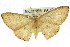  ( - 11ANIC-05787)  @11 [ ] CreativeCommons - Attribution (2011) ANIC/CBG Photography Group Centre for Biodiversity Genomics