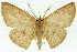  ( - 11ANIC-05789)  @11 [ ] CreativeCommons - Attribution (2011) ANIC/CBG Photography Group Centre for Biodiversity Genomics