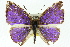  ( - 11ANIC-05834)  @12 [ ] CreativeCommons - Attribution (2011) ANIC/CBG Photography Group Centre for Biodiversity Genomics