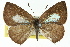  ( - 11ANIC-05836)  @11 [ ] CreativeCommons - Attribution (2011) ANIC/CBG Photography Group Centre for Biodiversity Genomics