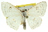 ( - 11ANIC-05944)  @13 [ ] CreativeCommons - Attribution (2011) ANIC/CBG Photography Group Centre for Biodiversity Genomics
