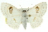  ( - 11ANIC-05945)  @14 [ ] CreativeCommons - Attribution (2011) ANIC/CBG Photography Group Centre for Biodiversity Genomics