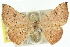  ( - 11ANIC-05959)  @11 [ ] CreativeCommons - Attribution (2011) ANIC/CBG Photography Group Centre for Biodiversity Genomics
