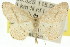 ( - 11ANIC-05970)  @13 [ ] CreativeCommons - Attribution (2011) ANIC/CBG Photography Group Centre for Biodiversity Genomics
