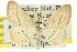  ( - 11ANIC-05972)  @11 [ ] CreativeCommons - Attribution (2011) ANIC/CBG Photography Group Centre for Biodiversity Genomics