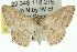  ( - 11ANIC-06019)  @14 [ ] CreativeCommons - Attribution (2011) ANIC/CBG Photography Group Centre for Biodiversity Genomics