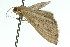  ( - 11ANIC-06020)  @12 [ ] CreativeCommons - Attribution (2011) ANIC/CBG Photography Group Centre for Biodiversity Genomics