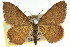  ( - 11ANIC-06024)  @11 [ ] CreativeCommons - Attribution (2011) ANIC/CBG Photography Group Centre for Biodiversity Genomics