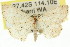  ( - 11ANIC-06051)  @15 [ ] CreativeCommons - Attribution (2011) ANIC/CBG Photography Group Centre for Biodiversity Genomics