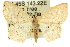  ( - 11ANIC-06067)  @14 [ ] CreativeCommons - Attribution (2011) ANIC/CBG Photography Group Centre for Biodiversity Genomics