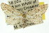  ( - 11ANIC-06078)  @13 [ ] CreativeCommons - Attribution (2011) ANIC/CBG Photography Group Centre for Biodiversity Genomics