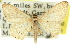 ( - 11ANIC-06142)  @11 [ ] CreativeCommons - Attribution (2011) ANIC/CBG Photography Group Centre for Biodiversity Genomics