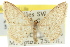 ( - 11ANIC-06144)  @11 [ ] CreativeCommons - Attribution (2011) ANIC/CBG Photography Group Centre for Biodiversity Genomics