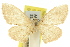  ( - 11ANIC-06165)  @11 [ ] CreativeCommons - Attribution (2011) ANIC/CBG Photography Group Centre for Biodiversity Genomics