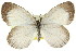  ( - 11ANIC-06238)  @11 [ ] CreativeCommons - Attribution (2011) ANIC/CBG Photography Group Centre for Biodiversity Genomics