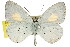  ( - 11ANIC-06249)  @11 [ ] CreativeCommons - Attribution (2011) ANIC/CBG Photography Group Centre for Biodiversity Genomics