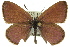  ( - 11ANIC-06254)  @14 [ ] CreativeCommons - Attribution (2011) ANIC/CBG Photography Group Centre for Biodiversity Genomics