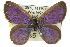  ( - 11ANIC-06295)  @12 [ ] CreativeCommons - Attribution (2011) ANIC/CBG Photography Group Centre for Biodiversity Genomics