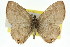  ( - 11ANIC-06324)  @11 [ ] CreativeCommons - Attribution (2011) ANIC/CBG Photography Group Centre for Biodiversity Genomics