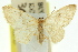  ( - 11ANIC-06395)  @11 [ ] CreativeCommons - Attribution (2011) ANIC/CBG Photography Group Centre for Biodiversity Genomics