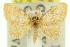  (Idaea sp. ANIC12 - 11ANIC-06425)  @11 [ ] CreativeCommons - Attribution (2011) ANIC/CBG Photography Group Centre for Biodiversity Genomics