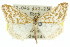  ( - 11ANIC-06481)  @11 [ ] CreativeCommons - Attribution (2011) ANIC/CBG Photography Group Centre for Biodiversity Genomics