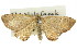  ( - 11ANIC-06551)  @13 [ ] CreativeCommons - Attribution (2011) ANIC/CBG Photography Group Centre for Biodiversity Genomics