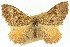 ( - 11ANIC-06761)  @11 [ ] CreativeCommons - Attribution (2011) ANIC/CBG Photography Group Centre for Biodiversity Genomics