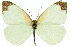  ( - 11ANIC-06866)  @11 [ ] CreativeCommons - Attribution (2011) ANIC/CBG Photography Group Centre for Biodiversity Genomics