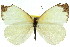  ( - 11ANIC-06867)  @11 [ ] CreativeCommons - Attribution (2011) ANIC/CBG Photography Group Centre for Biodiversity Genomics