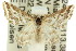  ( - 11ANIC-07228)  @11 [ ] CreativeCommons - Attribution (2011) ANIC/CBG Photography Group Centre for Biodiversity Genomics